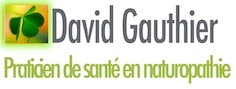 logo david gauthier