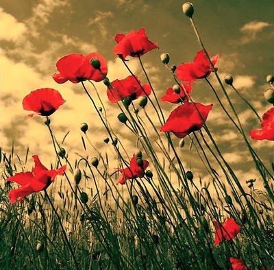 Yesterday by mizarek